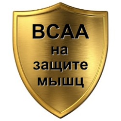 BCAA защищают мышцы